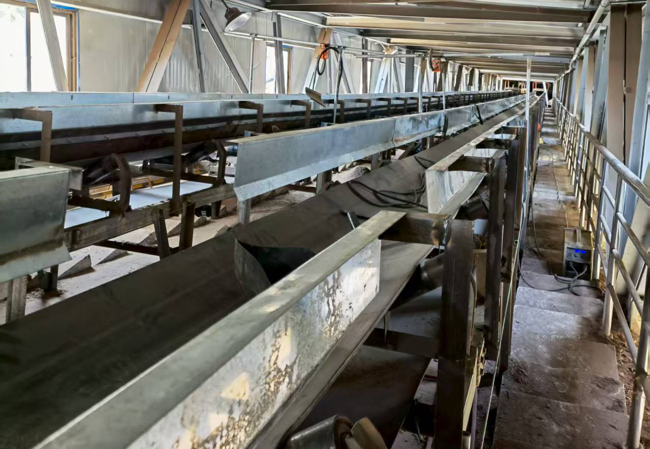 ������Ƥ�����ϻ�